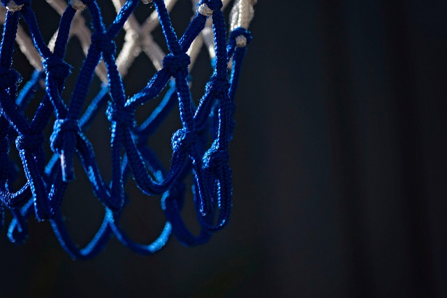 basketball, basketball hoop, game, sport, basketball court, ring, basketball ring, basketball, basketball, basketball, basketball, basketball, basketball hoop, basketball hoop, basketball court, basketball court, basketball court, basketball court, basketball court