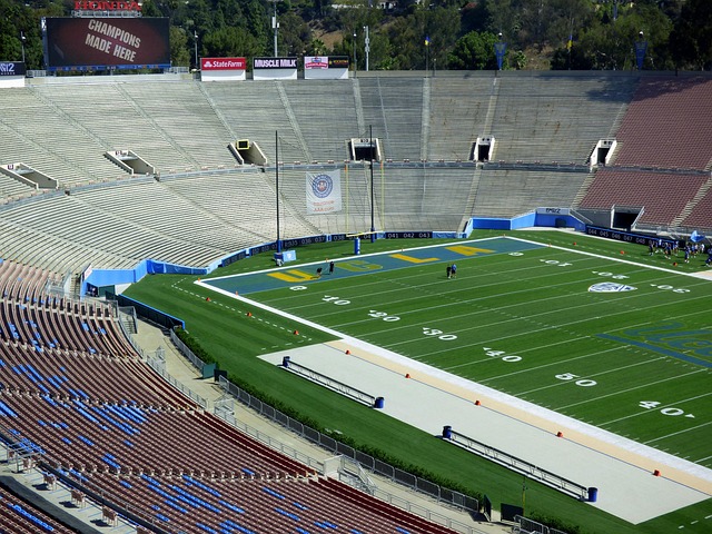 stadium, bleachers, spectator, turf, ucla, rose bowl, football, pasadena, football party, game, rose, team, decoration, rose flower, entrance, pac 12