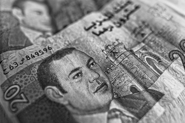 dirham, moroccan currency, banknote, money, cash, 20 dirham, al-magrib, bank of morocco, finance, paper money, note, capital, arabic, money, money, money, money, money